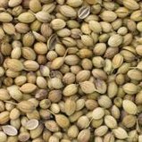 Coriander Seeds