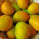 Mangoes