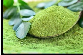 Moringa Powder